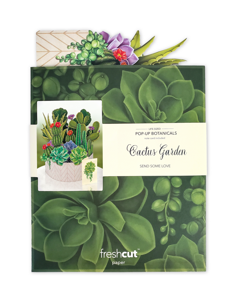 succulent pop up card Cactus Garden Popup Card – LILA Philadelphia